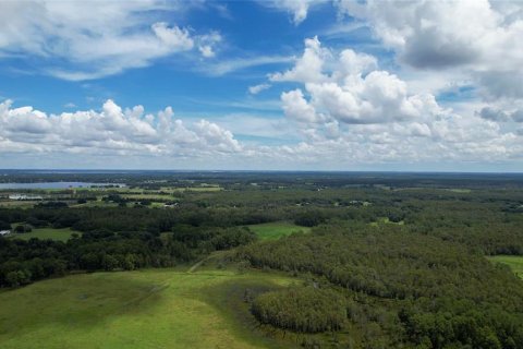 Land in Clermont, Florida № 1370003 - photo 5