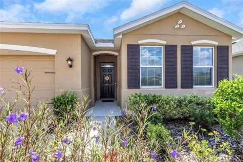 Villa ou maison à vendre à Wesley Chapel, Floride: 4 chambres, 191.1 m2 № 1375340 - photo 4