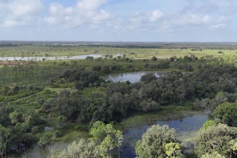 Terreno en venta en Arcadia, Florida № 1375367 - foto 10