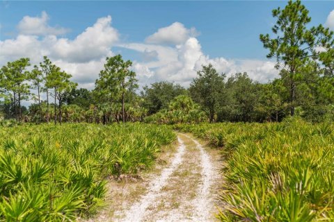 Terrain à vendre à Arcadia, Floride № 1375367 - photo 6