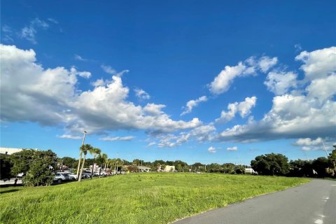 Terrain à vendre à Leesburg, Floride № 1340382 - photo 4