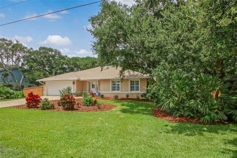 Villa ou maison à vendre à Saint Augustine, Floride: 3 chambres, 162.86 m2 № 1296436 - photo 2