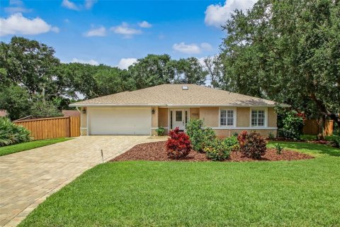 Villa ou maison à vendre à Saint Augustine, Floride: 3 chambres, 162.86 m2 № 1296436 - photo 1