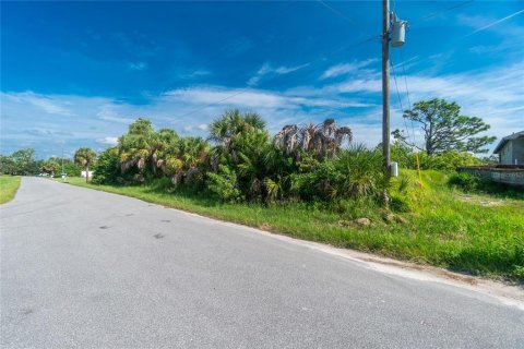 Land in Port Charlotte, Florida № 790769 - photo 2