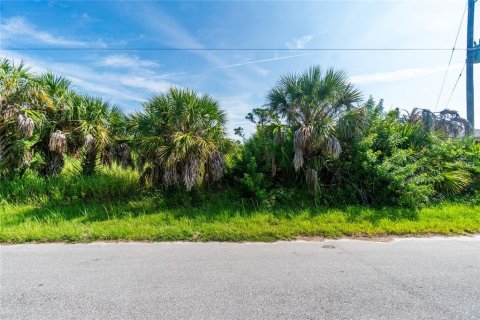 Land in Port Charlotte, Florida № 790769 - photo 1