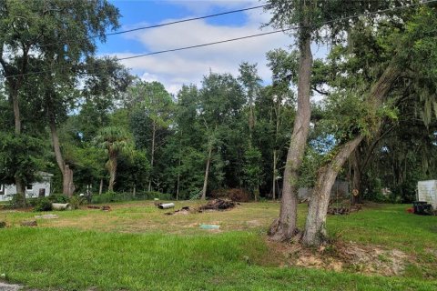 Terreno en venta en Davenport, Florida № 1318545 - foto 2