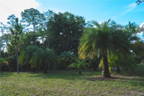 Terrain à vendre à Loxahatchee Groves, Floride № 934270 - photo 4