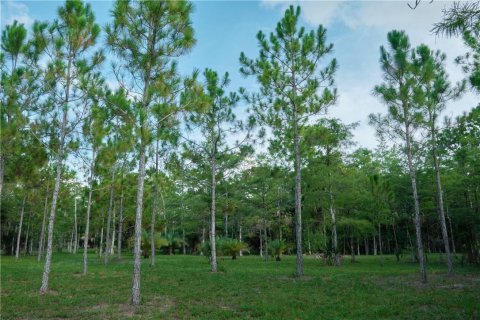 Terrain à vendre à Loxahatchee Groves, Floride № 934270 - photo 6