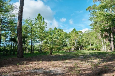Terrain à vendre à Loxahatchee Groves, Floride № 934270 - photo 5