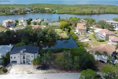 Terrain à vendre à New Port Richey, Floride № 799969 - photo 6