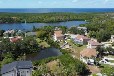 Terrain à vendre à New Port Richey, Floride № 799969 - photo 8