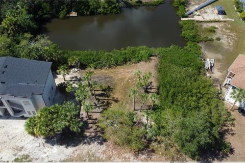 Terrain à vendre à New Port Richey, Floride № 799969 - photo 9