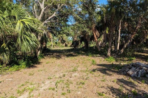 Land in North Port, Florida № 1125775 - photo 8