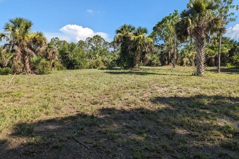 Land in North Port, Florida № 1125775 - photo 4