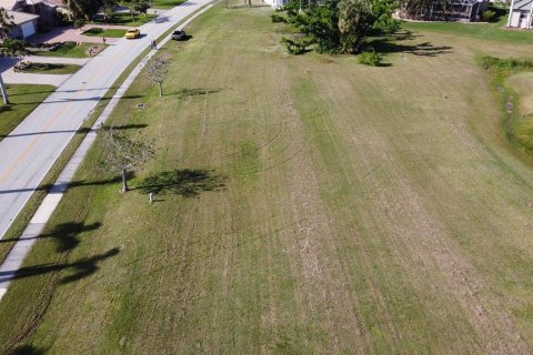 Land in Punta Gorda, Florida № 1409490 - photo 3