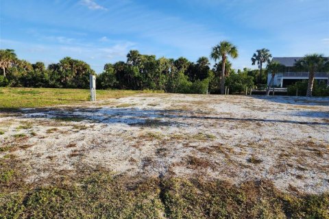 Terrain à vendre à Punta Gorda, Floride № 1112887 - photo 6