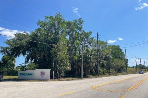 Land in Okeechobee, Florida № 1177236 - photo 2