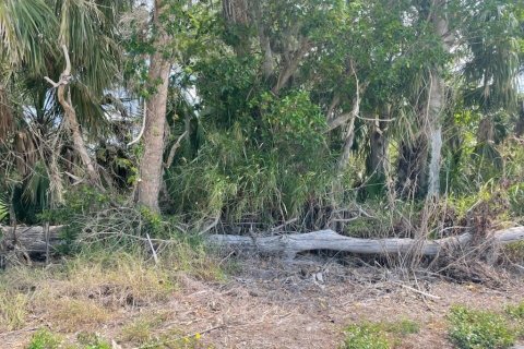 Terrain à vendre à Okeechobee, Floride № 1177236 - photo 6