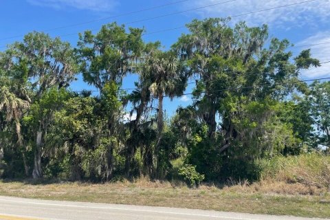 Terrain à vendre à Okeechobee, Floride № 1177236 - photo 4