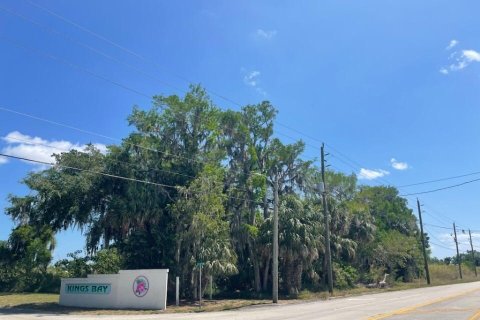 Terreno en venta en Okeechobee, Florida № 1177236 - foto 1