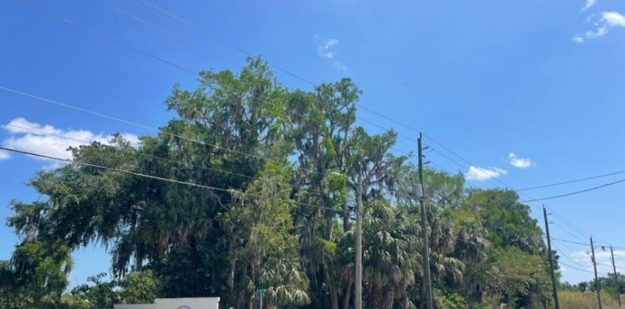 Terrain à Okeechobee, Floride № 1177236