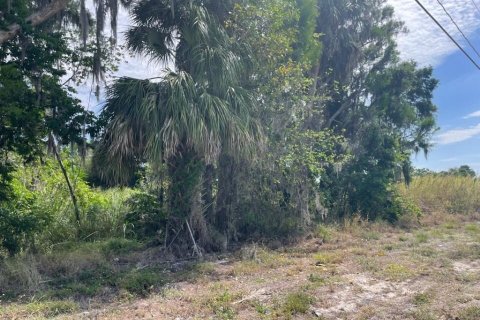 Terreno en venta en Okeechobee, Florida № 1177236 - foto 5