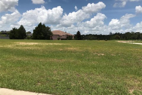 Terrain à vendre à Kissimmee, Floride № 1296121 - photo 4