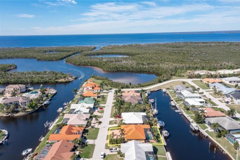 Villa ou maison à vendre à Punta Gorda, Floride: 3 chambres, 224.36 m2 № 1010374 - photo 4