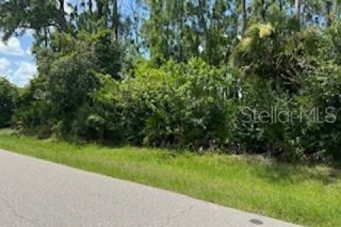 Terreno en venta en Punta Gorda, Florida № 1275488 - foto 1