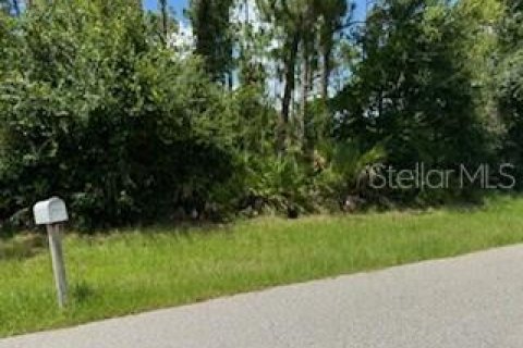 Terreno en venta en Punta Gorda, Florida № 1275488 - foto 3