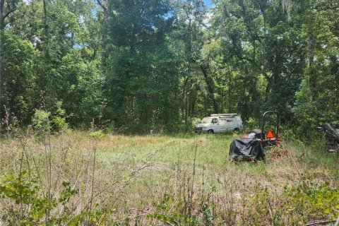 Land in Zephyrhills, Florida № 1275437 - photo 2