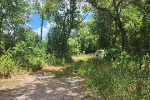 Land in Zephyrhills, Florida № 1275437 - photo 1