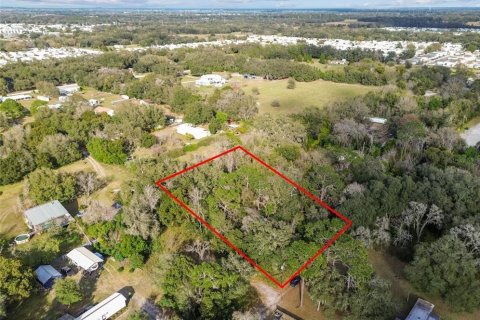 Terreno en venta en Zephyrhills, Florida № 1275437 - foto 6