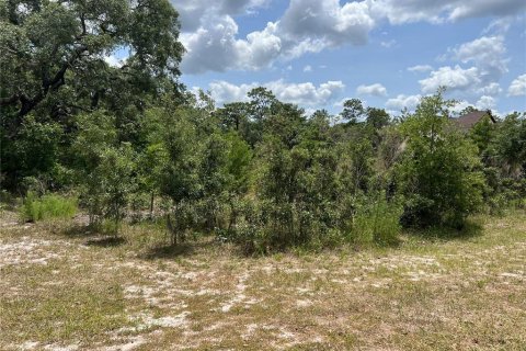 Land in Hudson, Florida № 1165602 - photo 10