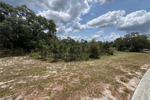 Land in Hudson, Florida № 1165602 - photo 9