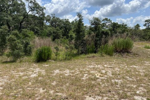 Terreno en venta en Hudson, Florida № 1165602 - foto 11