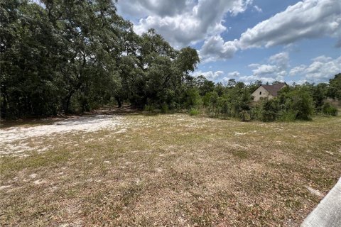 Terreno en venta en Hudson, Florida № 1165602 - foto 1