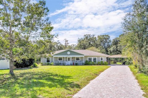 Villa ou maison à vendre à DeLand, Floride: 4 chambres, 224.64 m2 № 1407947 - photo 1