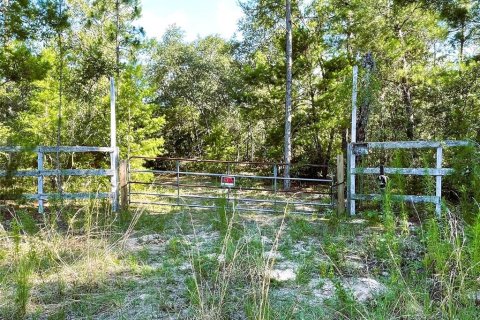 Land in Keystone Heights, Florida № 1244956 - photo 1