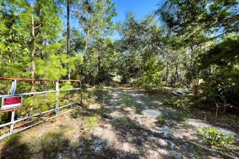 Land in Keystone Heights, Florida № 1244956 - photo 2