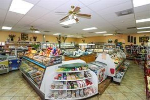 Commercial property in North Port, Florida 391.03 sq.m. № 1264043 - photo 4