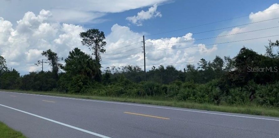 Terrain à Okeechobee, Floride № 743302