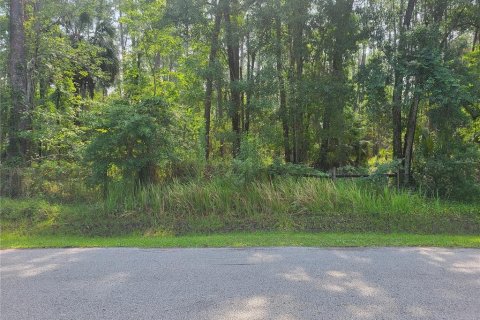 Land in Wesley Chapel, Florida № 1191136 - photo 2