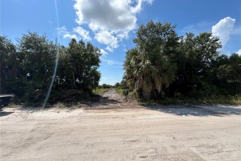 Land in Punta Gorda, Florida № 1373348 - photo 1