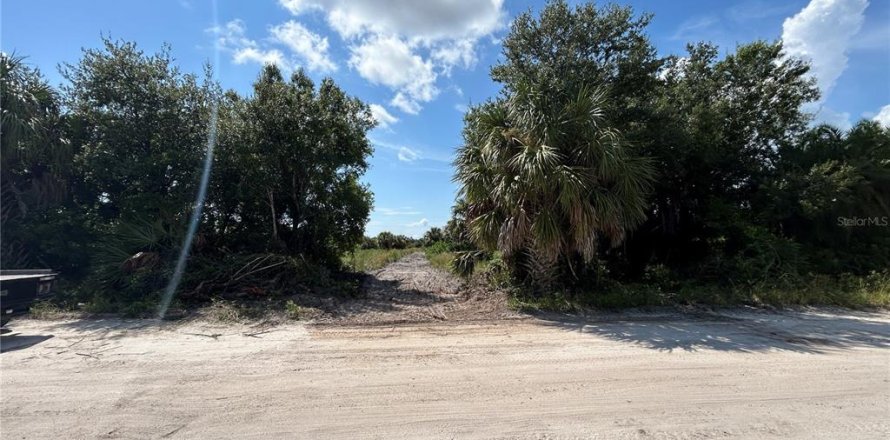 Terrain à Punta Gorda, Floride № 1373348