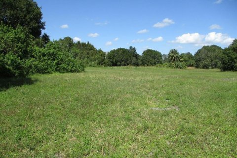 Land in Okeechobee, Florida № 1125745 - photo 1