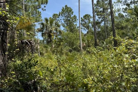 Terreno en venta en Bunnell, Florida № 1298364 - foto 6