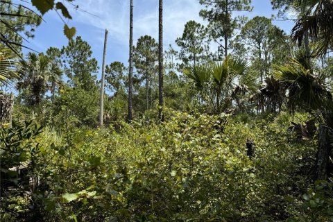 Terreno en venta en Bunnell, Florida № 1298364 - foto 5