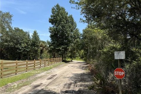 Terreno en venta en Bunnell, Florida № 1298364 - foto 1