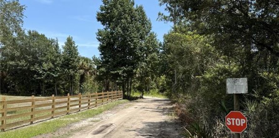 Terrain à Bunnell, Floride № 1298364